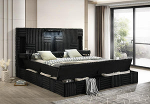 Yazan Collection