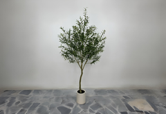 Elegant Mediterranean Olive