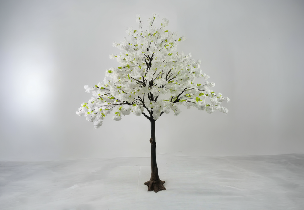 Blossom Tree