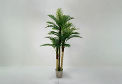 Tropical Palm